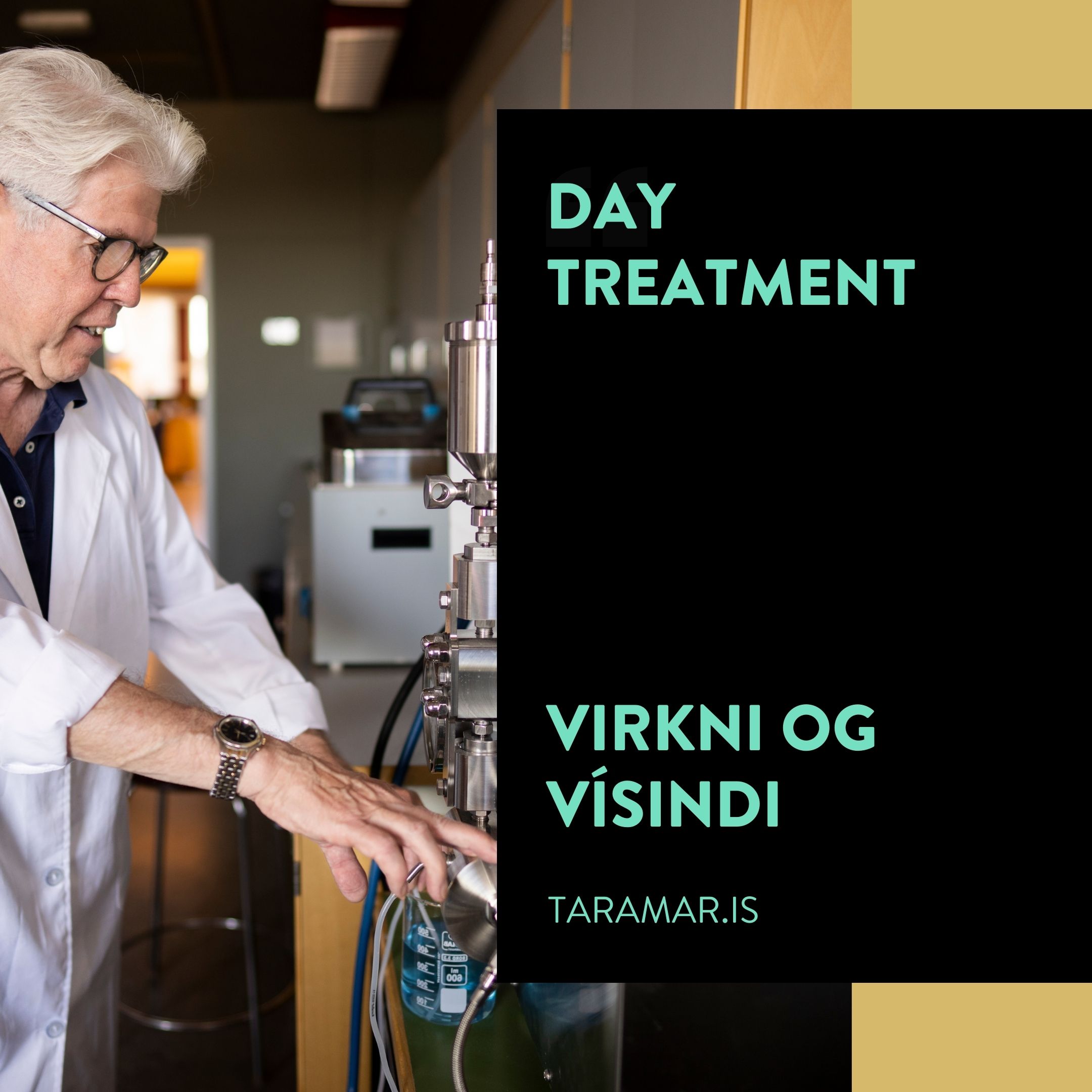 Dagkremið er fyrsta TARAMAR kremið sem ég þróaði. Ég var 55 ára gömul og átti í vanda með húðina. Hún var bæði líflaus, föl og oft rauð, stundum þurr og hörð. Með það að markmiði að umbreyta þessu vandamáli, þá fór ég að blanda saman olíur og vax með efnum sem höfðu getu til að afeitra húðina og fá hana til að vinna betur. Þróunarvinnan vatt upp á sig og varð rótin af ýmsum rannsóknaverkefnum og það var ekki fyrr en tveimur árum seinna að dagkremið náði fullkomnun.